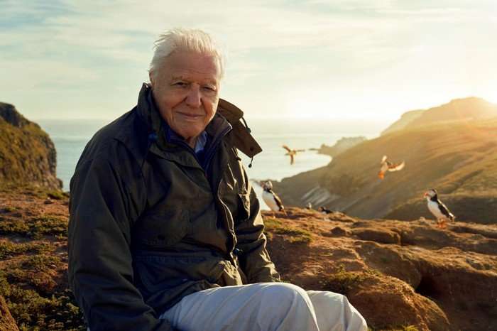 Sir David Attenborough in Wild Isles sat down on a summit overlooking the sea.