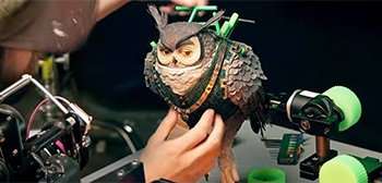 Wildwood Owl Featurette