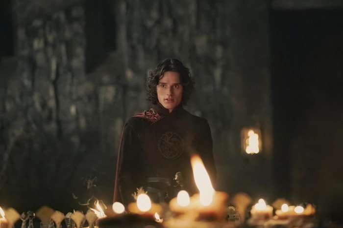 Harry Collett as Jacaerys Velaryon in House of the Dragon season 2 Harry Collett as Jacaerys Velaryon in House of the Dragon season 2