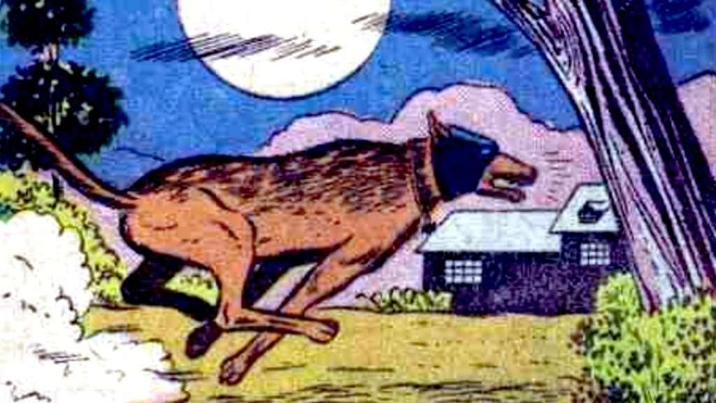 Krypto and the Superpets We Want to See in the DCU | Den of Geek