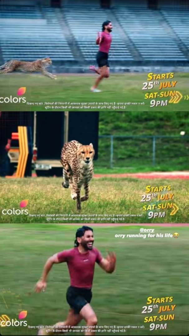 Khatron Ke Khiladi 15: Did Orry take on the cheetah challenge? Here's what we know!