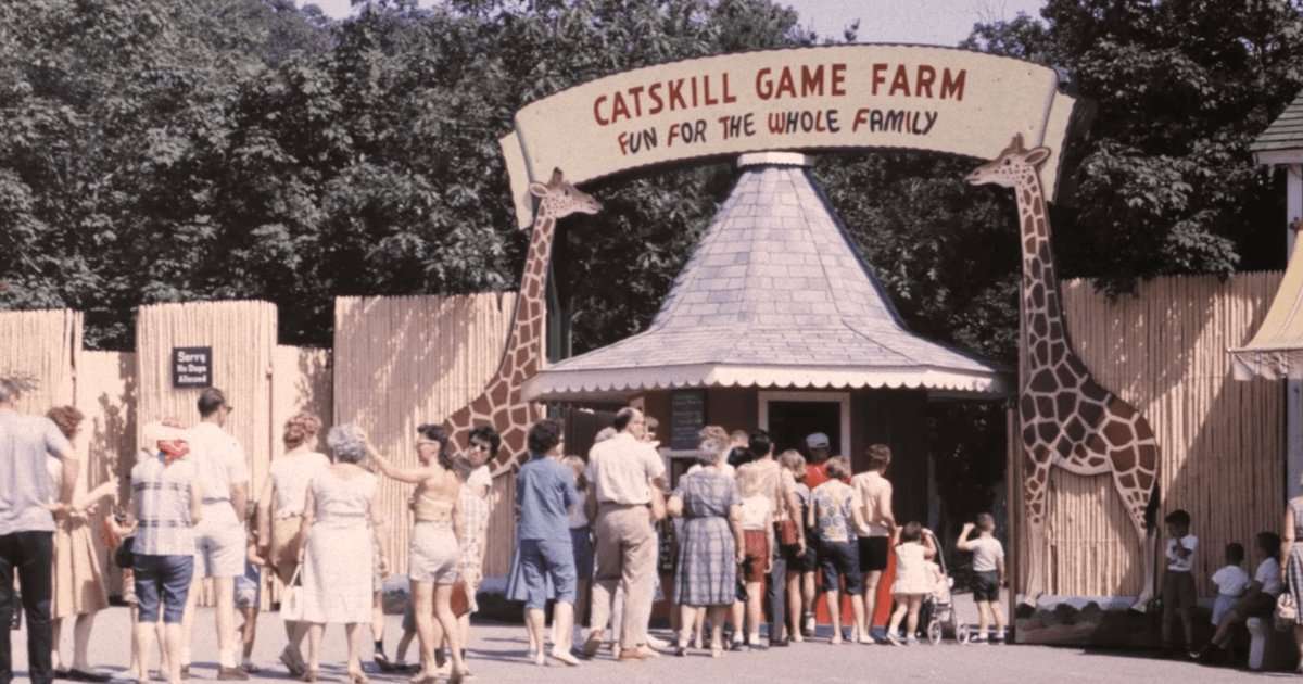 New Documentary American Zoo Bridges Nostalgia and the Unbelievable&nbsp; | Den of Geek