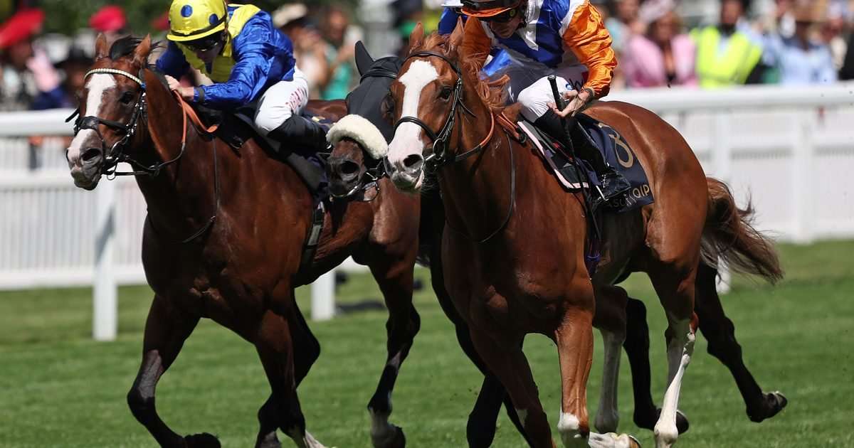 Royal Ascot 2026 on TV for free: Schedule, live stream and phone