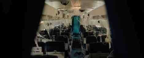 Spiders-on-a-Plane-British-horror-movie-film-2024-arachnids-webs.jpg