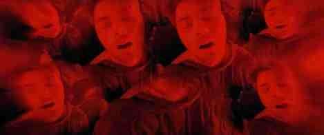Spiders-on-a-Plane-British-horror-movie-film-2024-spiders-point-of-view.jpg