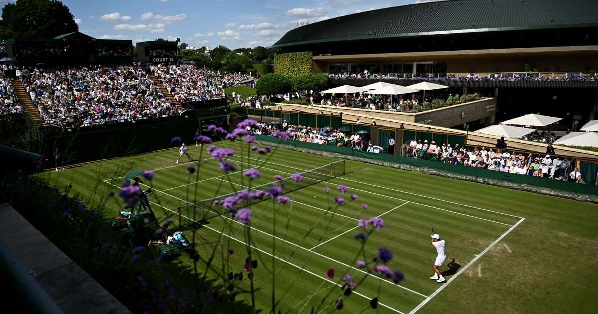 Wimbledon 2026 highlights: What time is the daily BBC highlights show?
