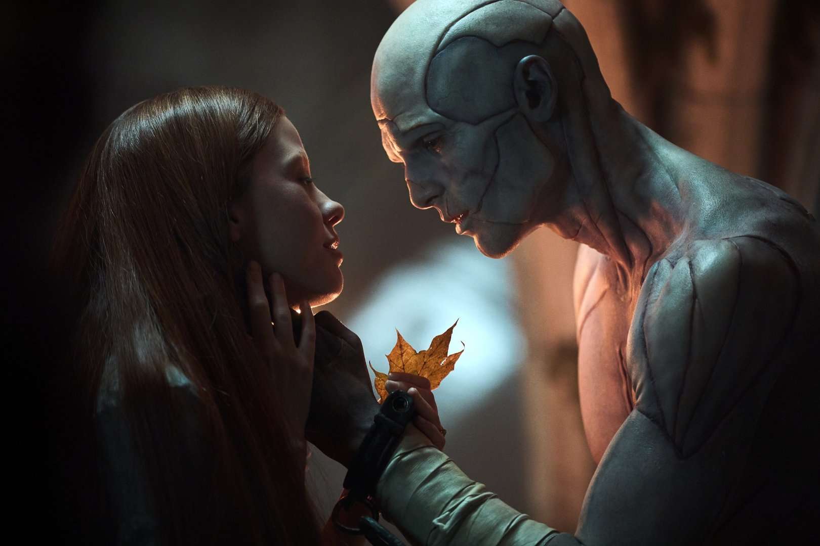 A creature touches a leaf and a woman in Frankenstein.