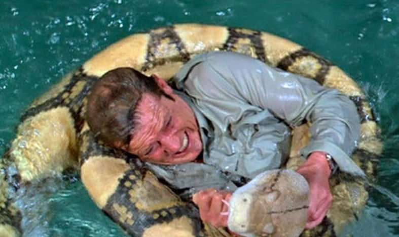 14 Action Heroes Who Were Clearly Too Old for This | Den of Geek