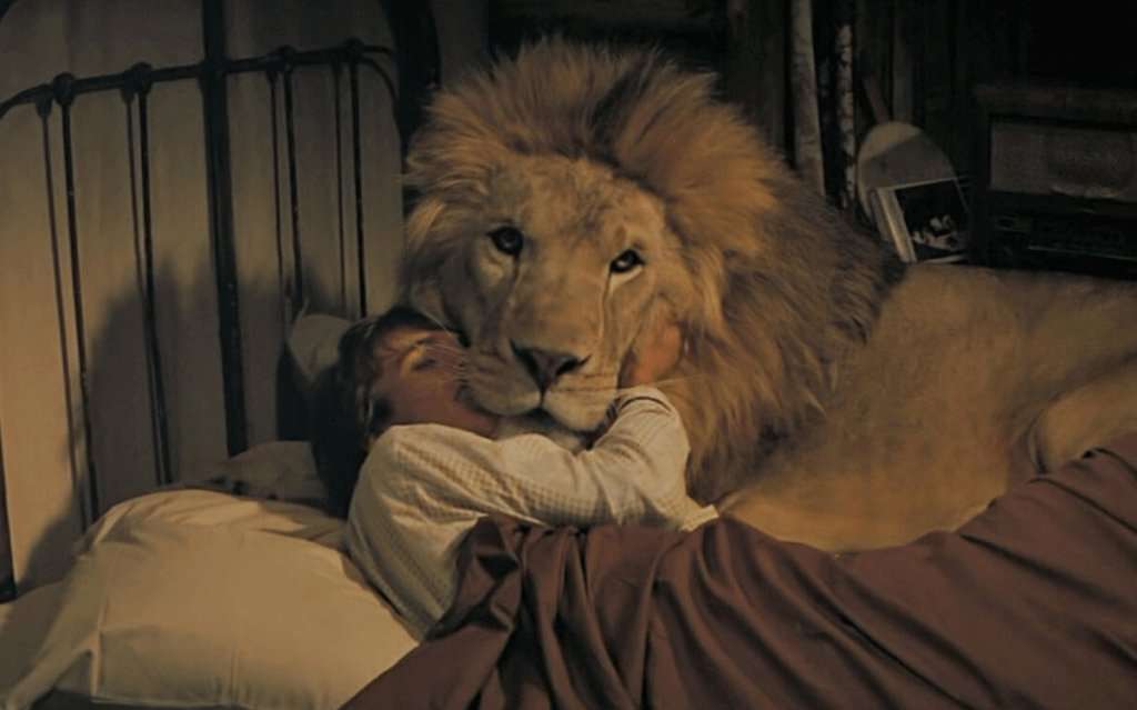 10 Photos from When Entertainment Involved Real Danger | Den of Geek