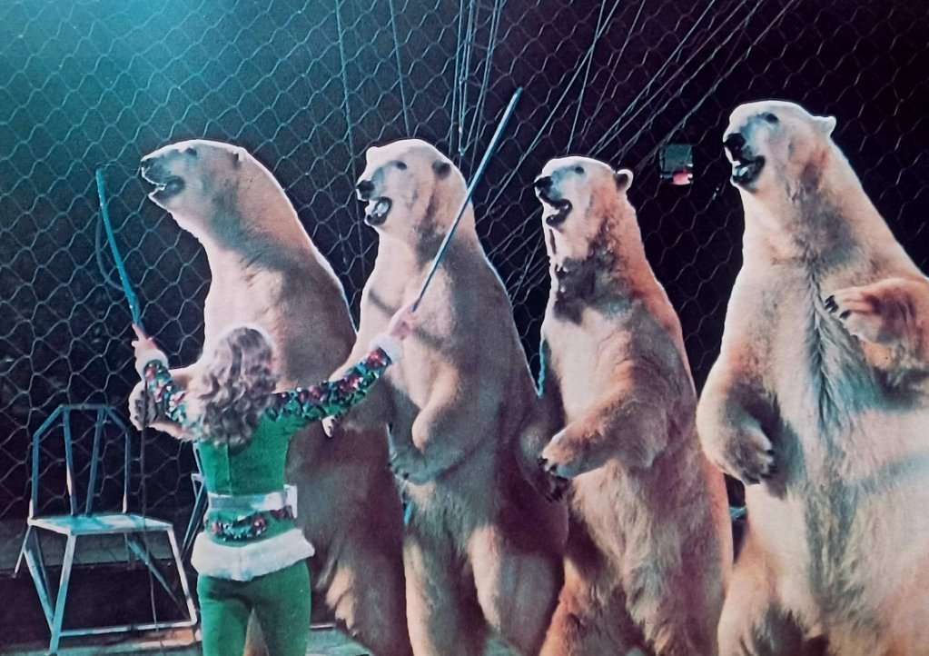 10 Photos from When Entertainment Involved Real Danger | Den of Geek