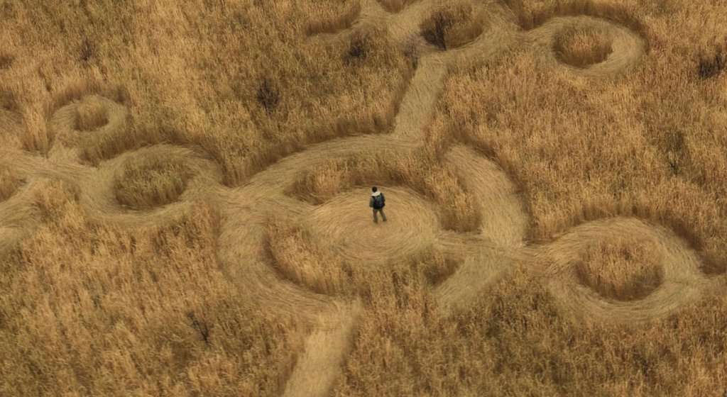 The Strangest Things to Know About Aliens, According to Conspiracy Theorists | Den of Geek