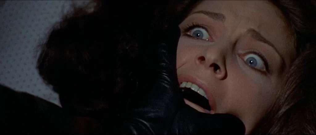 Fresh Blood: Young Filmmakers Who Changed Cinema&nbsp; - Morbidly Beautiful