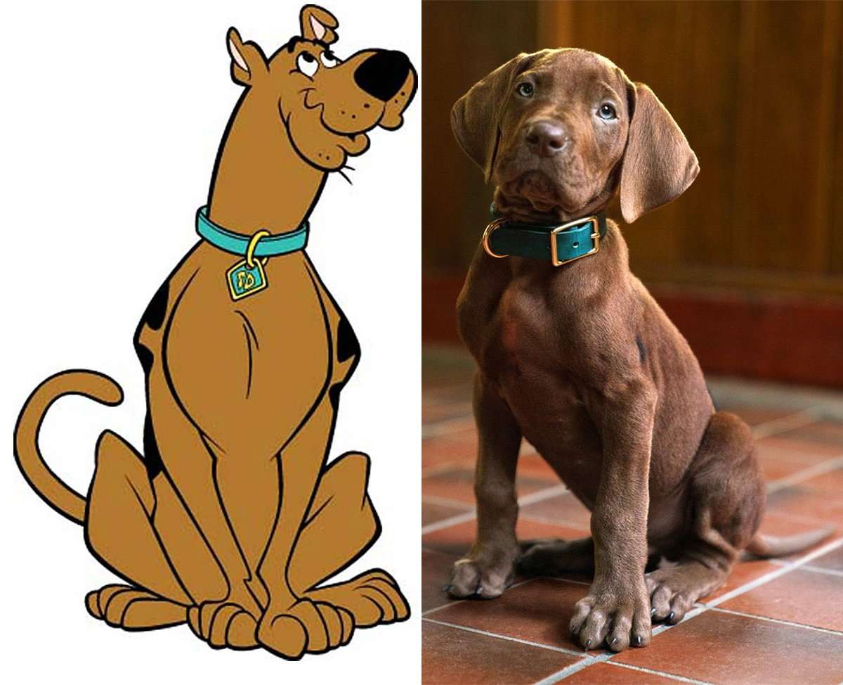 Scooby-Doo: Origins Teaser