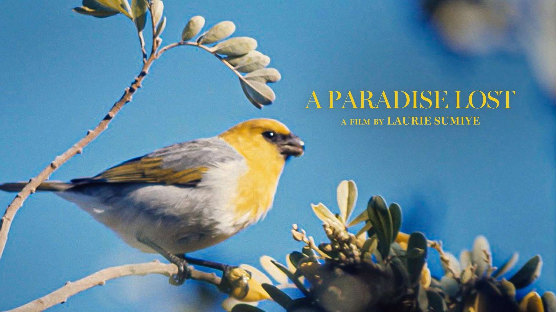 Conservation Doc 'A Paradise Lost' Trailer - Saving a Hawaiian Bird | FirstShowing.net