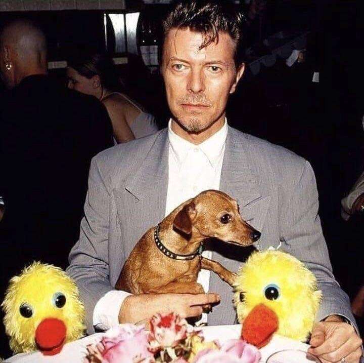 15 Strange Vintage Celebrity Photos That Feel Like a Fever Dreams | Den of Geek