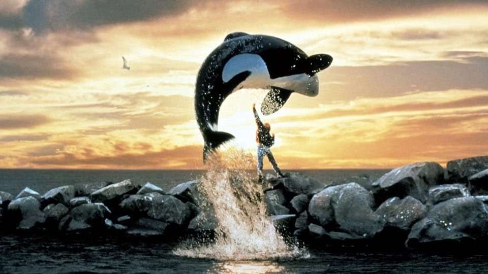 Free Willy reboot surfaces at Warner Bros.