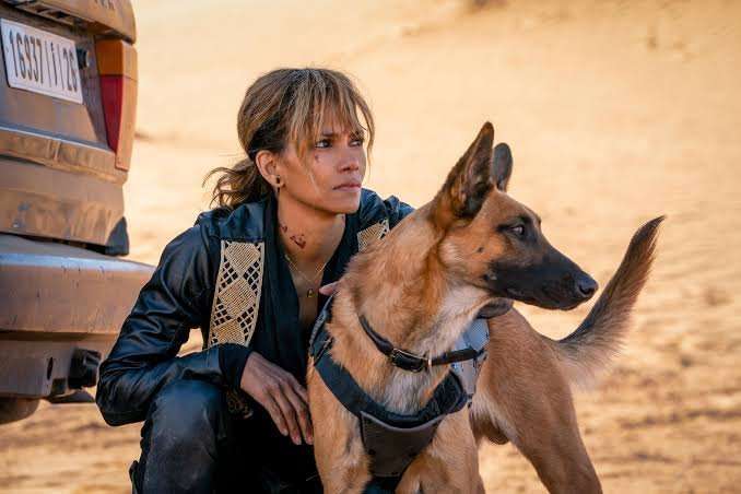 15 Times an Actor Did Their Own Stunts, and Paid the Price | Den of Geek