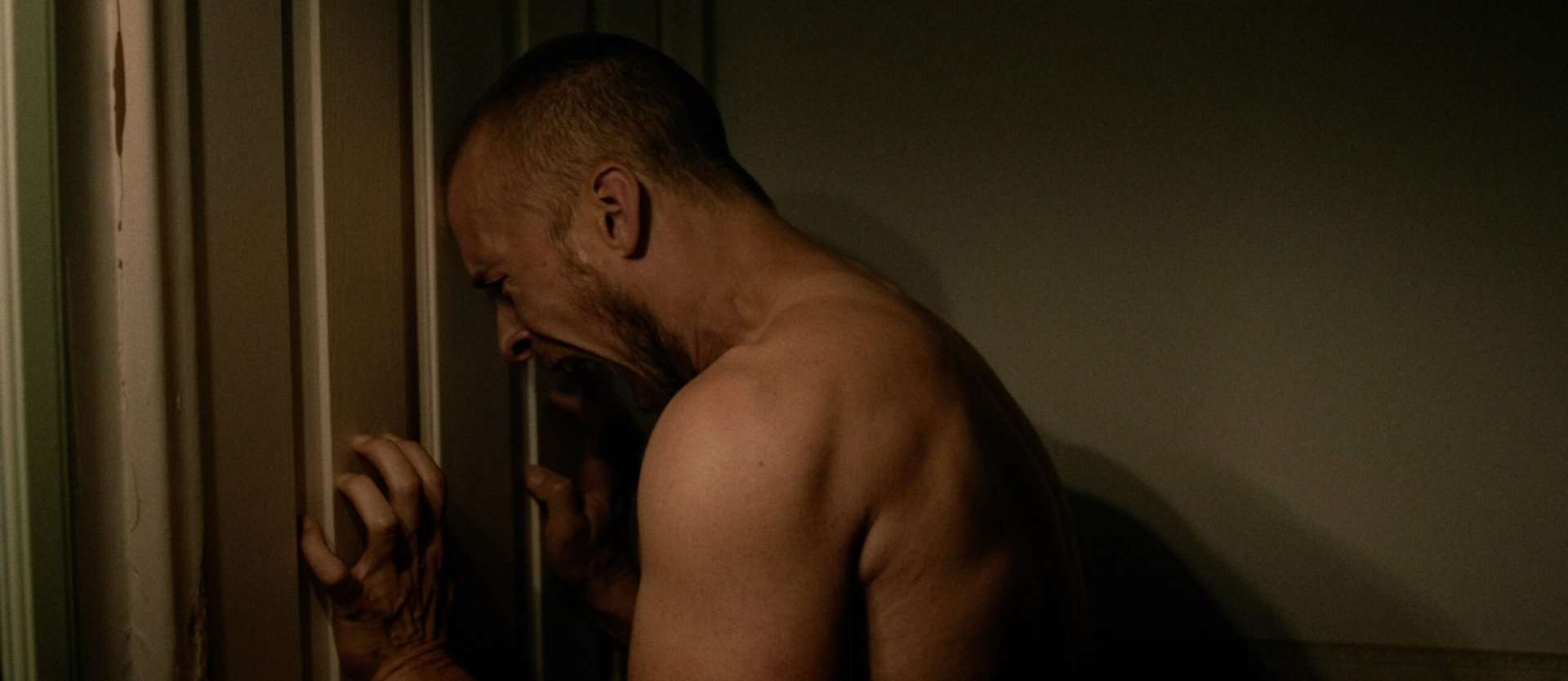 Lou Taylor Pucci screaming a clawing at a door in the horror film, Lockbox.