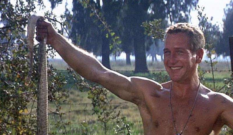 15 Classic Actors at 20 Years Old, Then and Now | Den of Geek