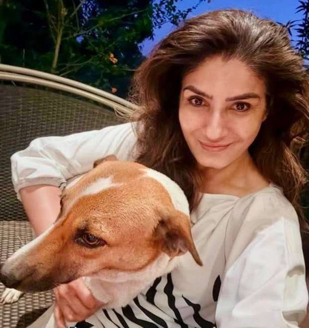 Raveena Tandon adopts stray puppy from Welcome To The Jungle sets, names her Zoya after her character