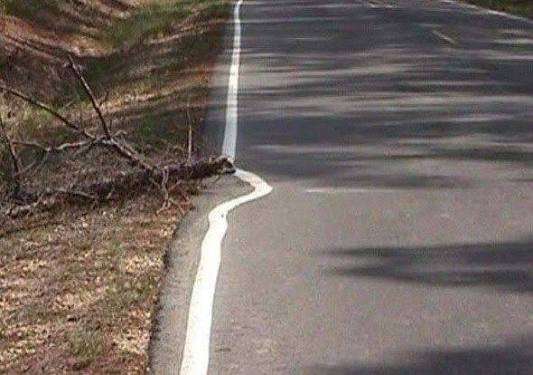 18 Times Someone Had Just One Job and Still Failed At It | Den of Geek