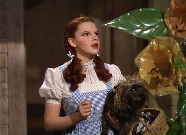 15 Movie Mistakes We Love to Notice Every Single Time | Den of Geek
