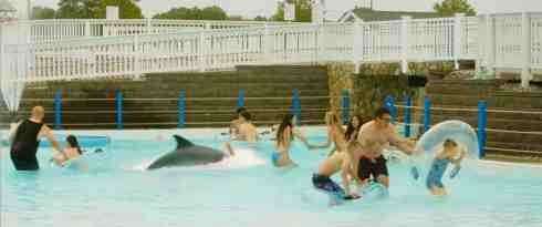Water-Park-Shark-2026-horror-thriller-sharksploitation-1.jpg