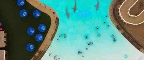 Water-Park-Shark-2026-horror-thriller-sharksploitation-free-online-1.jpg