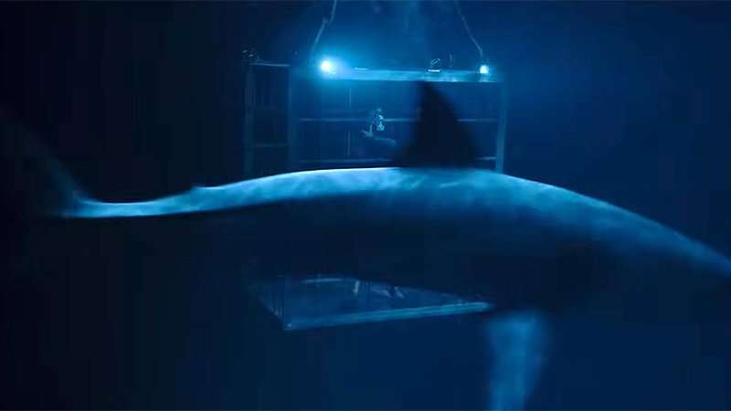 Above & Below Trailer
