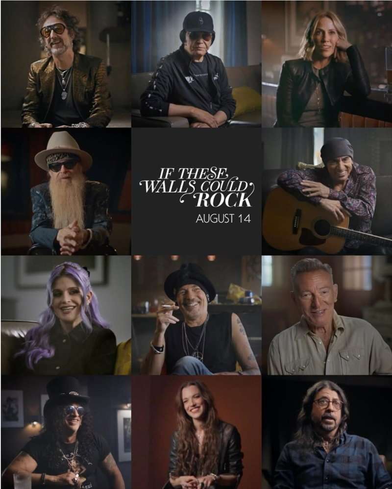 If These Walls Could Rock Doc Poster