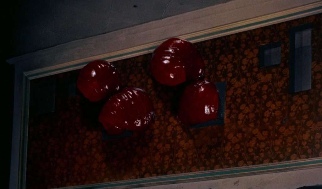 15 Lame Horror Movies That Wouldn't Frighten a Cat | Den of Geek