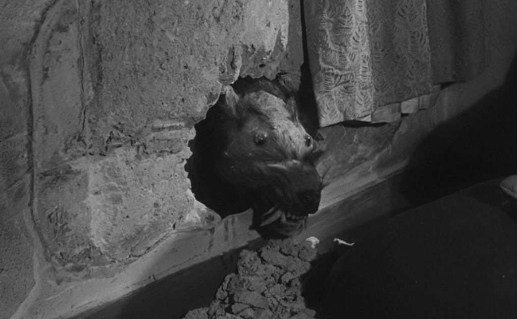 15 Lame Horror Movies That Wouldn't Frighten a Cat | Den of Geek