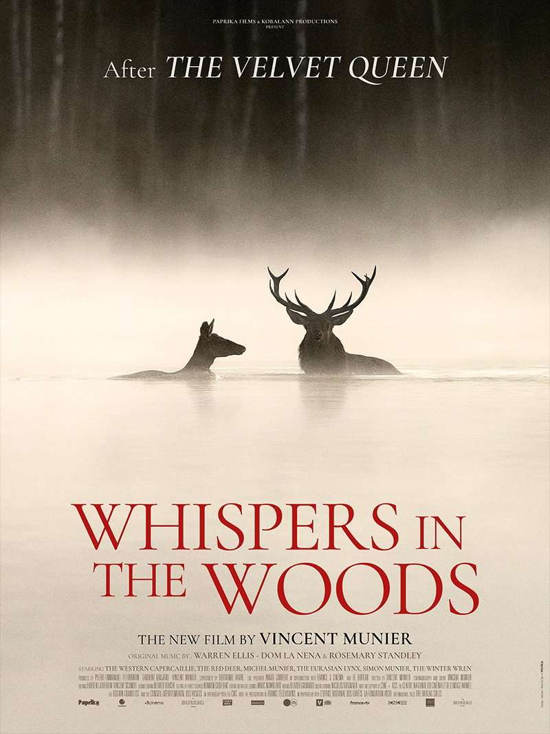 Whispers in the Woods Poster