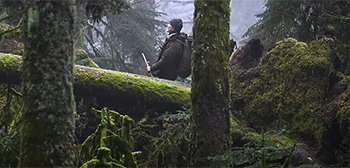 Whispers in the Woods Trailer